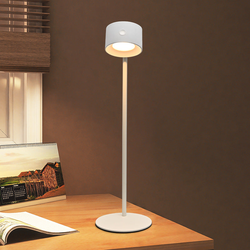 Night light desk lamp